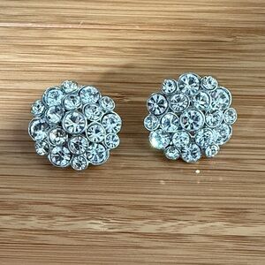 Elegant Silver Crystal Stud Earrings